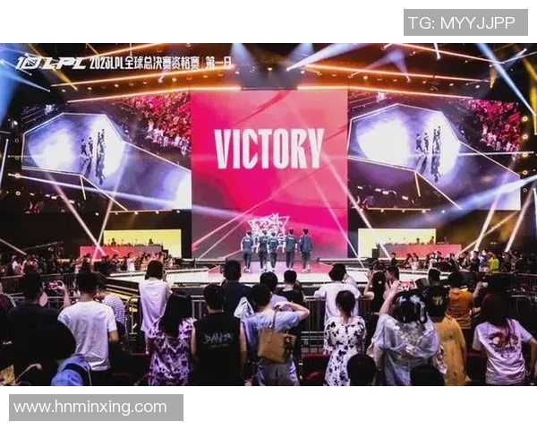 电竞数据背后的故事LNG战队荣耀之路的奋斗与坚持