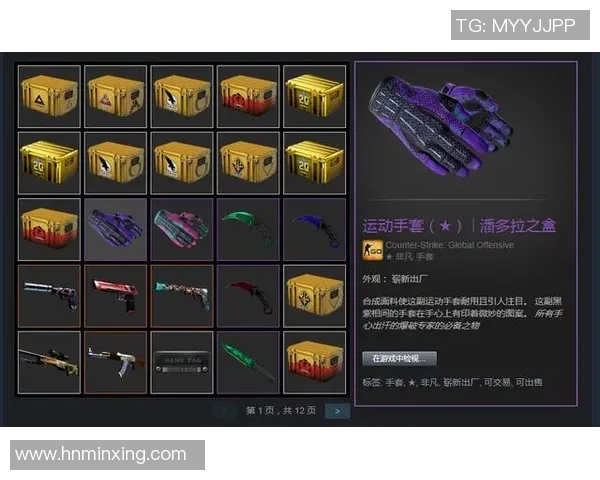 CSGO焦点TES团队协作与战术配合的深入分析与探讨 CSGO焦点TES团队协作与战术配合的深入分析与探讨
