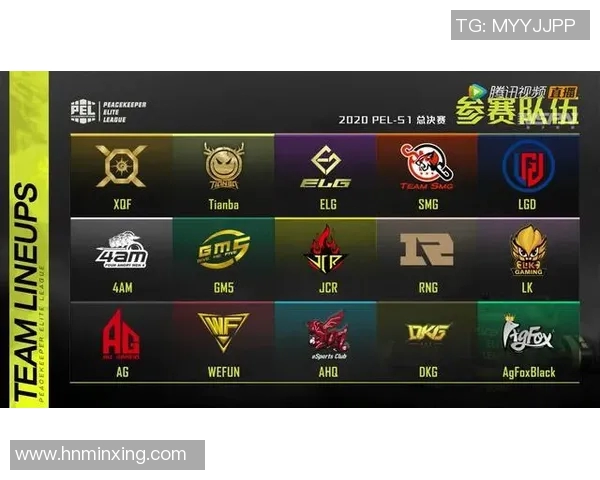 esports最新数据和平精英战术分析IG战队边路渗透策略与实战应用解析